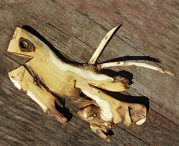 木鱼艺术动物木头乡村棕色海洋雕像雕刻图片