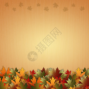 有叶子的秋季背景插图问候语明信片感激季节传统财富庆典喜庆假期图片