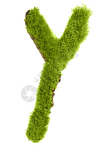 用叶子写的信宏观森林植物创造力公司艺术字母刻字树叶白色图片