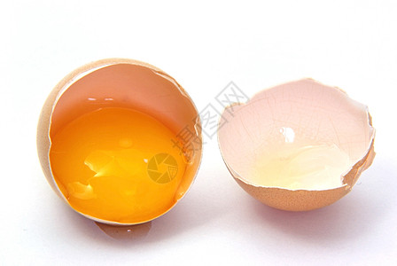 断蛋食品工作室动物生长母鸡烹饪家禽液体早餐橙子图片