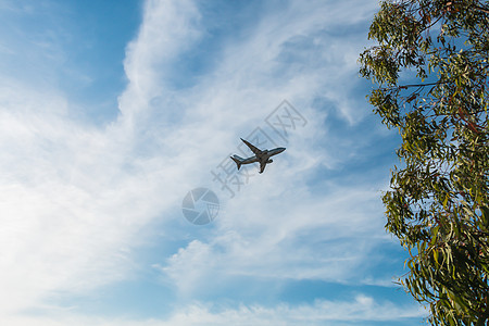 飞机起飞供应商航班喷射航空商业旅行土地座舱天空涡轮图片