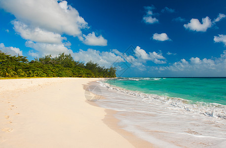 德里尔海滩风景支撑假期海洋旅游异国天堂旅行植被热带图片