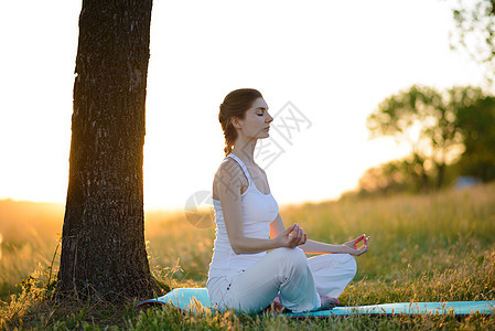 年轻美丽女性在阳光草地上的瑜伽女孩公园运动冥想日落身体姿势专注太阳平衡图片