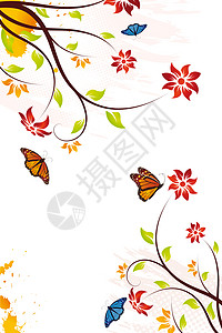 带蝴蝶的格龙盖矢量花花背景白色滚动墙纸橙子插图印迹叶子卷曲斑点艺术品图片