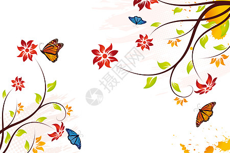 带蝴蝶的格龙盖矢量花花背景橙子插图叶子红色创造力卷曲白色花丝印迹墙纸图片