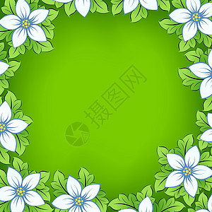 鲜花框架正方形绿色叶子艺术树叶蓝色曲线广告黄色插图背景图片