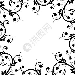 花粉设计结构框架黑色艺术插图植物漩涡滚动叶子图片