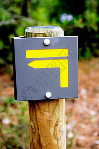 指明方向的签字木头适应症石头森林公园树干旅行踪迹路线假期图片