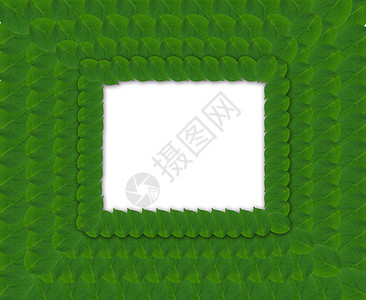 树叶png树叶绿方框架创造力艺术植物绿色装饰品叶子螺旋背景
