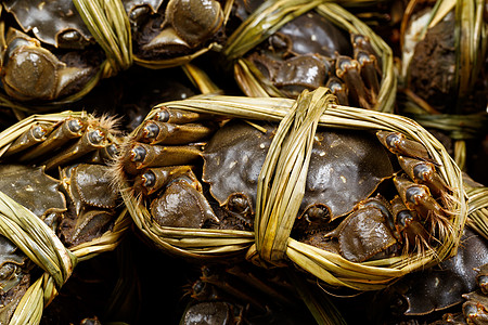 中国毛螃蟹鱼子淡水季节营养贝类竹子动物螃蟹烹饪手套图片