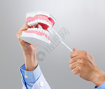 装有假牙和牙刷的牙科医生工具绅士袖子口服身体手臂衬衫牙科手势专家图片