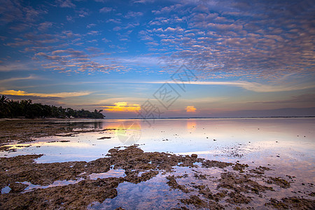 热带热带海滩橙子季节天堂海浪天空棕榈蓝色地平线风景墙纸图片