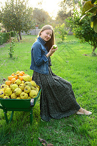 收集新鲜果子的美丽女孩柿子花园女孩女士绿色健康女性微笑收成水果图片