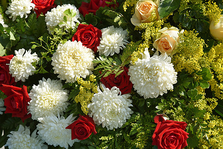 鲜花雏菊叶子花朵花束植物白色红色玫瑰家庭满天星背景图片