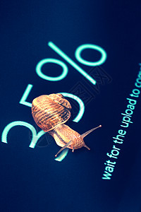 计算机屏幕上的钉网完成35的数据下载动作蜗牛教育软件行政人员百分号兴趣加载互联网图片