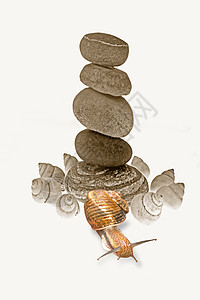 石头碎石的近角玻璃金字塔脆弱性沉思蜗牛禅意斗争团体岩石艺术精神图片
