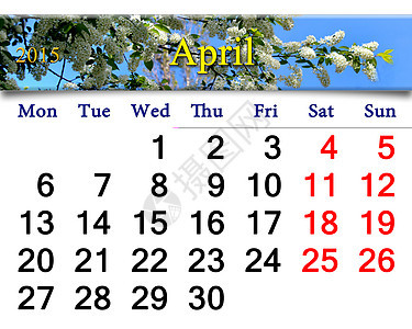 2015年4月日历 附有鸟樱桃树图像图片