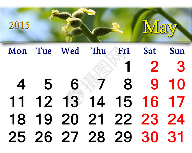 2015年5月日历 带有花核桃图片