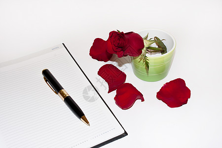 红玫瑰花瓣 纸上有笔红色写作植物学假期宏观植物群玫瑰铅笔植物礼物图片