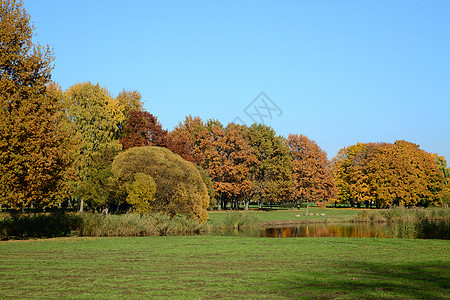 秋天风景 里加 胜利公园图片