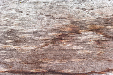 旧木板背景植物木工粮食边界橡木墙纸木地板控制板风格木头图片
