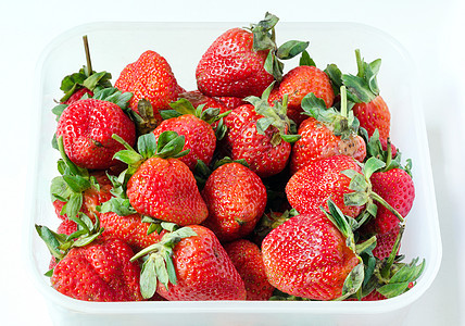 食品储存容器中新鲜的红草莓图片