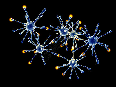 神经网络信号轴突细胞科学生物学解剖学感官发射机多核思维图片