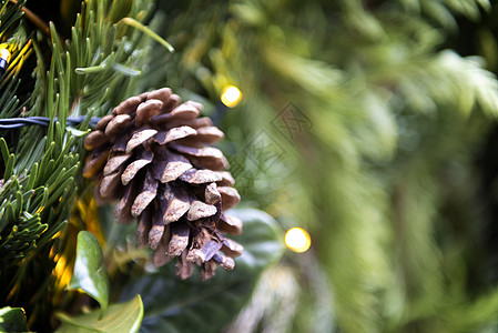 圣诞市场装饰品松锥果商业庆典季节工艺团体绿色锥体松树图片