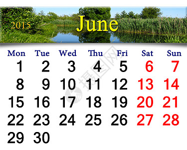 2015年6月与森林湖结合的2015年6月日历时间森林树叶日记文档丝带日程天空叶子商业图片