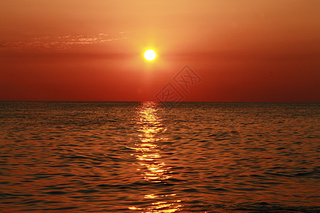 海边的夏日日落支撑场景反射水滴地平线阳光旅行太阳海洋金子图片