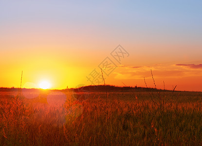 风景 阳光明媚的黎明在田野中夕阳光线天空土地光环植物农村日落场地环境图片