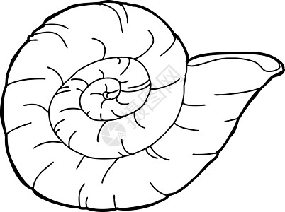 安蒙海贝壳鱼化石卡通片化石手绘绘画插图菊石贝类古生物学侏罗纪动物图片