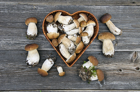 旧木板桌上的可食蘑菇真菌肉图片