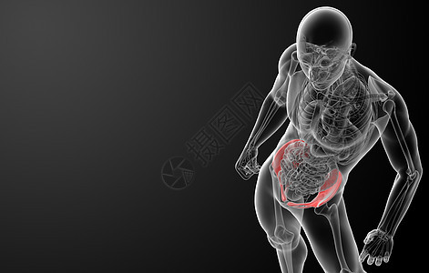 3d 在X光片下立骨盆辐射医生身体股骨科学尾骨x光椎骨扫描药品图片