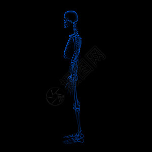 3d 以黑色背景制成色素科学压力脊柱解剖学插图医疗骨头肋骨骨骼胸部图片