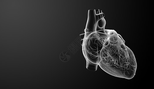 白心科学锻炼医院心脏病学身体男性生活黑色红色解剖学图片