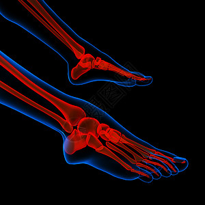 人类脚痛与骨架脚解剖跑步身体医学治疗医疗诊断人脚外科保健关节图片