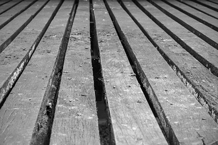 天然木地板的质地用作天然背景树干桌子木工控制板木材时间地面戒指植物松树图片