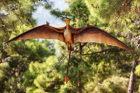 在森林中飞行的普丁基恐龙图片