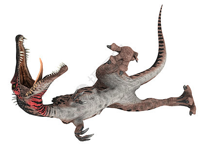恐龙脊柱词库食肉热带生物古生物学多刺时代动物怪物白色蜥蜴图片