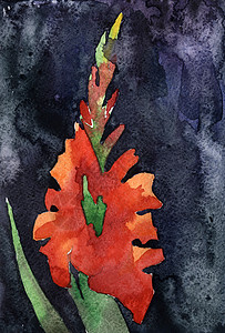 手工绘画流程花束植物植物群艺术花瓣叶子墙纸插图样本水彩图片