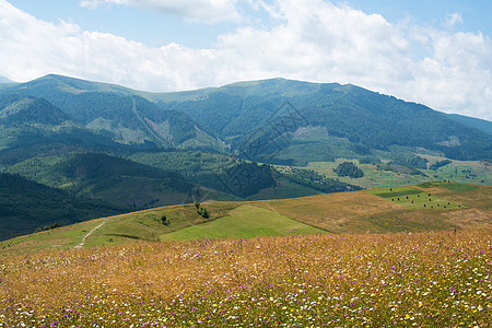 乌克兰喀尔巴阡山脉的景观农村风景场地草地牧场树木山脉国家地平线旅游图片