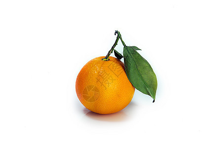 橙色橙子黄色美丽绿色植物食物水果红色热带宏观图片