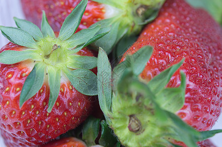 草莓宏观水果商水果饮食红色蔬菜营养树叶背景图片