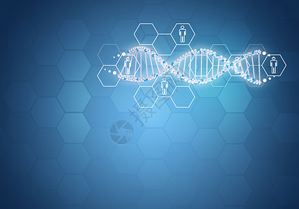 结合所有人类基因DNA 六边形和信息委员会的背景情况坡度图表螺旋辉光蜂窝木板网络白色插图图片