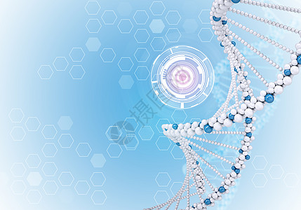 信息 3d 空白板 人类DNA 许多六边形的背景辉光图表蜂窝螺旋木板网络插图白色坡度基因图片