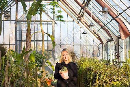 在温室工作的花女农场植物职业零售爱好企业家房子花园成人业主图片