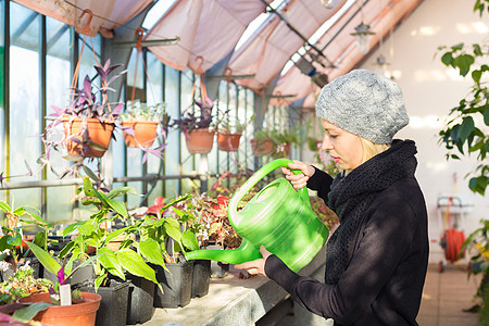 在温室工作的花女花艺工人工艺苗圃女士爱好成人植物职业花店图片