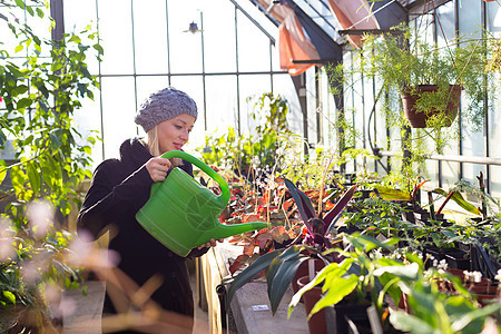 在温室工作的花女植物学爱好企业家零售栽培职业环境花园花艺女士图片