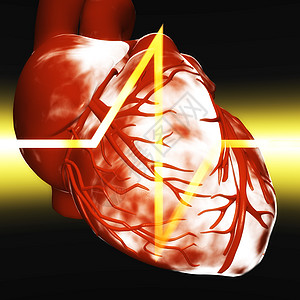 人类心脏的数字数字插图心肌器官静脉心脏病解剖学脉冲3d系统疾病循环图片